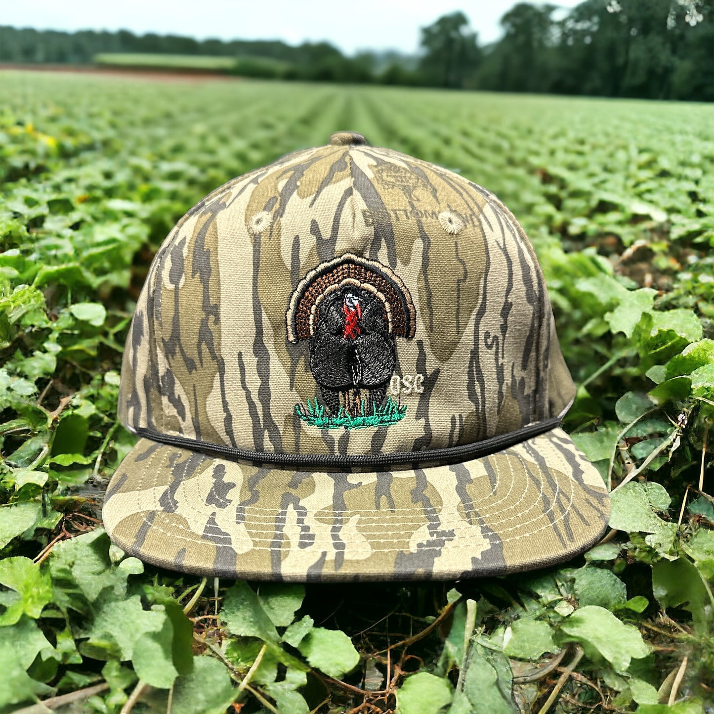 STRUTTING TOM - BOTTOMLAND