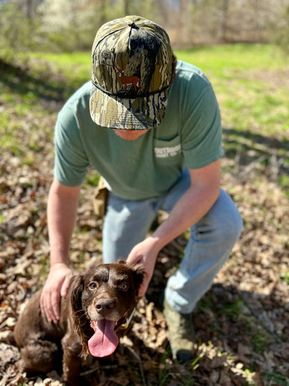 Whitetail Standing - Mossy Oak Treestand