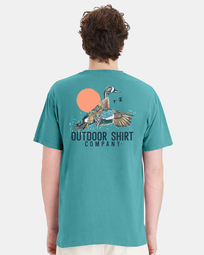 Flying Teal